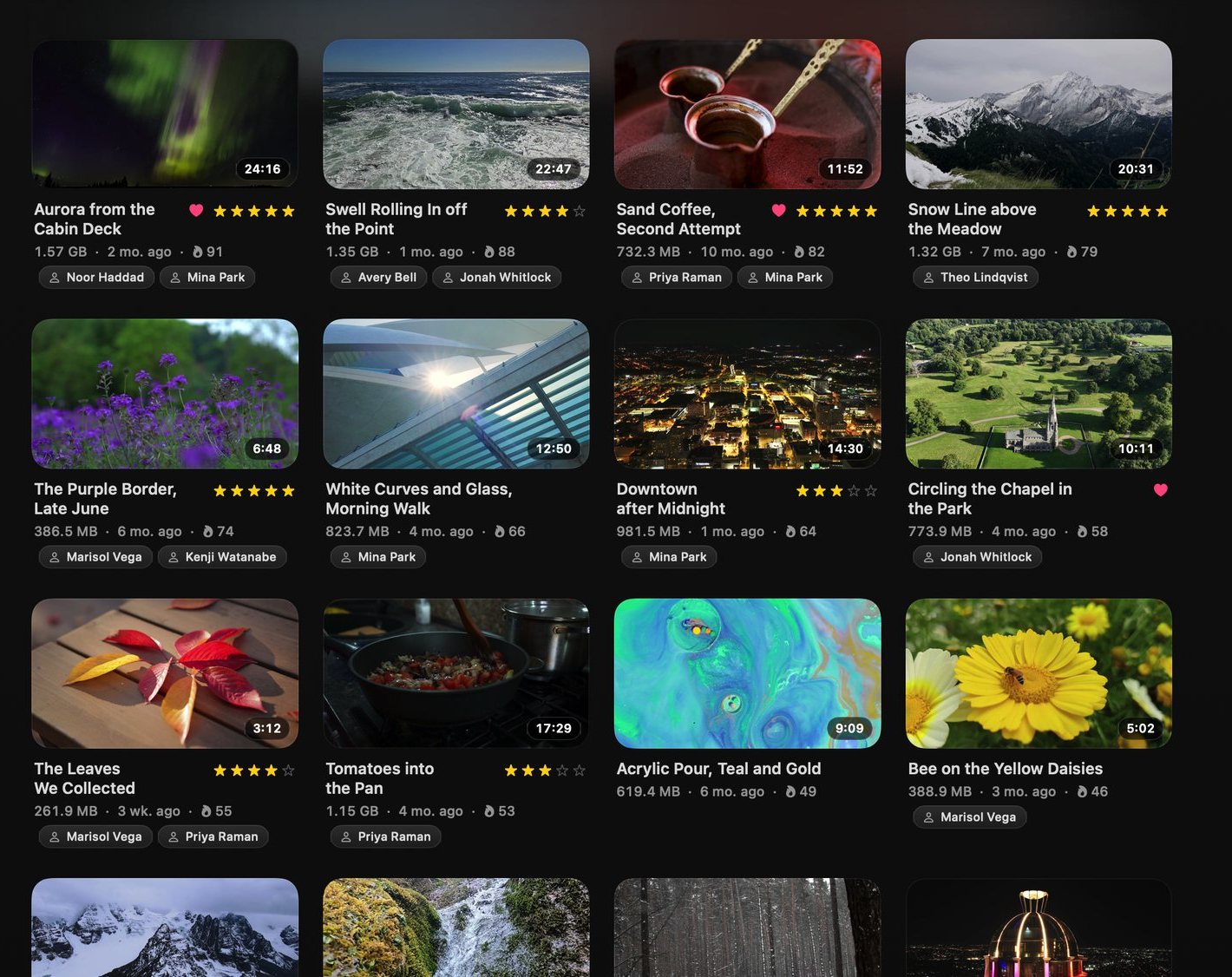 The Library on a Mac as a grid: video thumbnails with titles, ratings, sizes and the people in each.